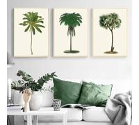LTjiajuypd Tropical Palm Tree Vintage Illustrations Posters and Prints Trees Botanical Wall Art Canvas Painting Pictures Home Decor 60x90cm-3Pcs Frameless