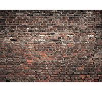 LTLYH 7x5ft Red Brick Wall Photography Backdrop Vintage Theme Stone Brick Design Photography Background Baby Birthday Party Decoration Photo Booth Studio Prop 135…