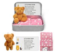 LTMMC Little Pocket Bear Hug in A Box, Stuffed Animals, Plush Bear Doll Keychain as Positivity Giftss, Miss You Gifts, First Day at School Gifts Soft and Cute Pocket Hugs Bear for Kids and Women