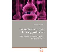 LTP mechanisms in the dentate gyrus in vivo: BDNF signaling, translation control, and gene function