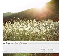 Luca Brasi - Everything Is Tenuous (Oxblood Vinyl) [VINYL]