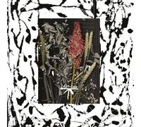 Luca Musto - Call Me On The Regular [VINYL]