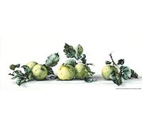 Luca-S Apples Still Life Counted Cross Stitch Kit, Pack of 1