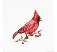 Luca-S B1156 Cardinal Cross Stitch Kit, Cotton, Multi-Colour, 10 x 9 cm