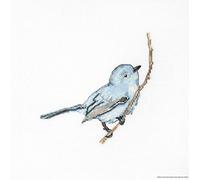 Luca-S B1158 Bluebird Cross Stitch Kit Cotton, Multicoloured, 14x14cm