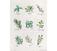 Luca-S B2346 Spices and Herbs II Cross Stitch Kit Cotton, Multicoloured, 21.5 x 30.5 cm