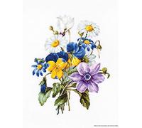 Luca-S B2348 Bouquet with Camomile Cross Stitch Kit Cotton, Multicoloured, 19x24.5 cm