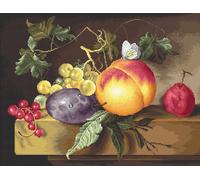 Luca-S B593 Cross Stitch Kit 30 x 30 cm Multi-Coloured