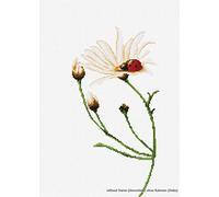 Lucas Power Tools Counted Cross Stitch Kit - Lucas-S Communication - Pack of 1