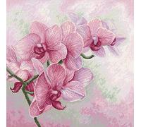 Luca-S Counted DIY Cross Stitch Kit for Adults, Graceful Orchids B7009, Embroidery & Needlecraft Kit