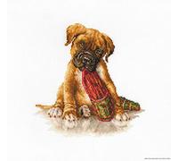Luca-S Cross Stitch Kit, Cotton, Multicoloured, 18x17,5cm