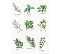 Luca-S Cross Stitch Kit, Cotton, Multicoloured, 21,5x30,5cm