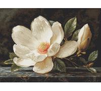 Luca-S Cross Stitch Kit Gold -The Magnolia Dew, B713, Counted Cross Stitch Kit for Adults, Needlecraft and Embroidery Kit