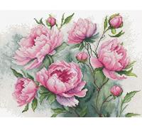 Luca-S Cross Stitch Kit The Charm of Peonies, B7019, Counted Cross Stitch Kit for Adults, Needlecraft and Embroidery Kit