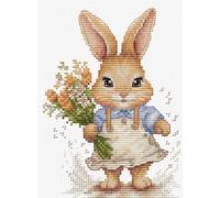 Luca-S Cross Stitch Kit The Happy Bunny, B1410, Counted Cross Stitch Kit for Adults, Needlecraft and Embroidery Kit