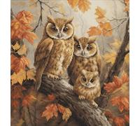 Luca-S Cross Stitch Kit The Owls Family, BU5045, Counted Cross Stitch Kit for Adults, Needlecraft and Embroidery Kit