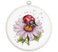 Luca-S Cross Stitch Kit with Hoop Included Field Flower, BC231, Counted Cross Stitch Kit for Adults, Needlecraft and Embroidery Kit
