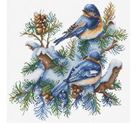 Luca-S DIY Cross Stitch Kit - The Birds-Winter, B2418, Counted Cross Stitch Kit for Adults, Needlecraft and Embroidery Kit