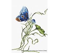 Luca-S Emotion Counted Cross Stitch Kit, Pack of 1