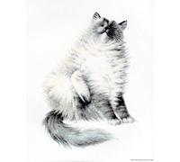 Lucas-S Micky Counted Cross Stitch Kit, Pack of 1