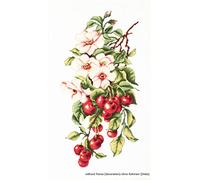 Luca-S Still Life with Cherries Counted Cross Stitch
