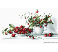 Luca-S Strawberries Counted Cross Stitch Kit, Multi-Colour