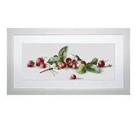 Lucas-S Strawberries Counted Cross Stitch Kit, Pack of 1