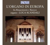 Luca Scandali – Organo in Europa – Tactus