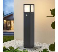 Lucande Dewari path light, motion detector, E27, 65cm, IP54