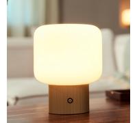 Lucande Katrin Palme LED battery-powered table lamp, beige, glass
