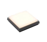 Lucande LED Ceiling Light Outdoor Amra (Modern) in Silver from Outdoor Light