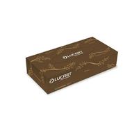 Lucart EcoNatural Facial Tissues 100 Sheets (Pack of 40) 841073