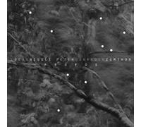 Lucas Niggli - Profos