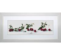 Lucas-S Cherries Counted Cross Stitch Kit, Pack of 1