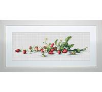 Lucas-S Etude with Strawberries Counted Cross Stitch Kit, Pack of 1