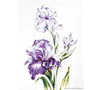 LUCAS-S Irises Counted Cross Stitch Kit, Pack of 1