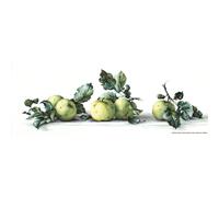 Lucas-S Still Life with Apples Counted Cross-Stitch Kit