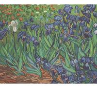 Lucas Van Gogh Irises Petit Cross Stitch Kit S