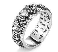 LucBuy Feng Shui PiXiu Mantra Ring, Silver Buddhist Finger Rings, MANI Amulet Mantra Jewelry, Double Protection Wealth Love Band, Vintage Open Adjustable Rings Gift for Men Women (A9)