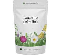 Lucerne Alfalfa Seeds 100g - Premium Wildflower Green Manure for Soil Health, Erosion Control & Pollinators - Medicago sativa - DEFRA Licensed Supplier