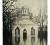 Lucero Among the Ghosts (Vinyl) 12" Album (US IMPORT)