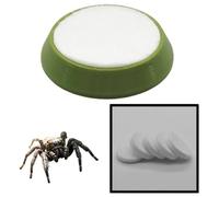 luchike 1 PCS Spider Micro Water Bowl with 5 Pcs Sponge Mini Reptile Water Dish for Tarantula Jumping Spider Millipede Gecko Lizard Tiny Reptile (1.57" D, 0.31" H) Green
