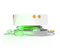 Luci Colour String Lights - One Size