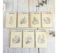 Luck and Luck Peter Rabbit Baby Clothes Drawer Dividers, Nursery Gift, Nursery Keepsake, Baby Shower Keepsake Gift, New Born Gift, First Outfit