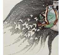 Luck Of Eden Hall - Butterfly Revolution (2lp Col) [VINYL]