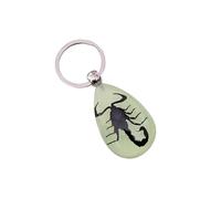 Luck Trader Real Black Scorpion Glow in the Dark Keyring Keychain - Heterometrus spinifer
