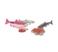 LUCKDANO Growth Cycle Model Safe Material for Educational Purposes, for Ages 3+ - Interest in Marine Life and Exploration