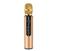 LUCKDANO Handheld Karaoke Microphone, Miniature Microphone for Kids, Home KTV Player, Essential for Family Parties, High-Fidelity Sound Quality (Gold)