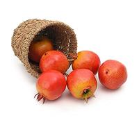 Luckforest Artificial Pomegranates, 6Pcs Simulation Pomegranates Fake Fruits for Home Kitchen Table Decor Photography Props