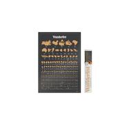 Luckies of London | Scratch Map | Scratch Off World Map | Scratchable World Poster | Countries Visited Maps | Rub Off Poster | Travel Maps | Teacher Gifts For Men & Women | 197 Countries & States